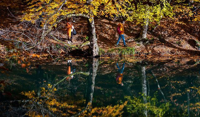 Bolu doğa turizminde rekor ilgi: Korunan alanlara 2 milyon 330 bin ziyaretçi
