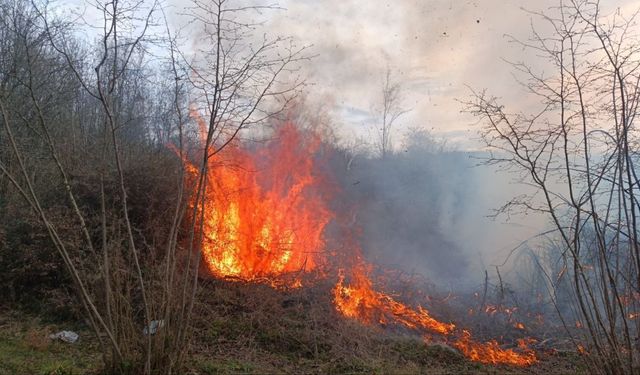 Havalar ısındı, yangınlar başladı