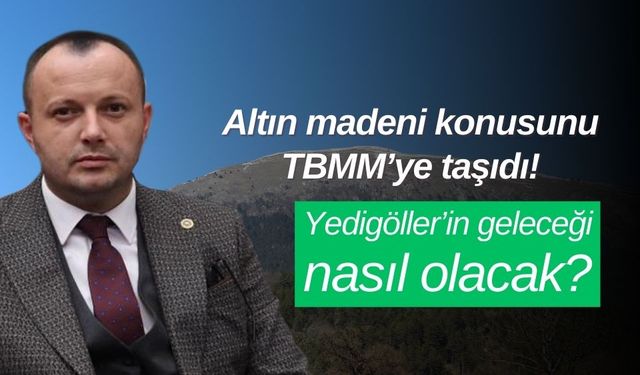 Milletvekili Akgül, Yedigöller bölgesindeki altın madeni ruhsatını TBMM’ye taşıdı