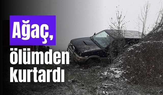 Ölümden, ağaç kurtardı