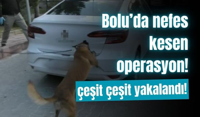 Bolu’daki uyuşturucu operasyonlarında 1 kişi tutuklandı