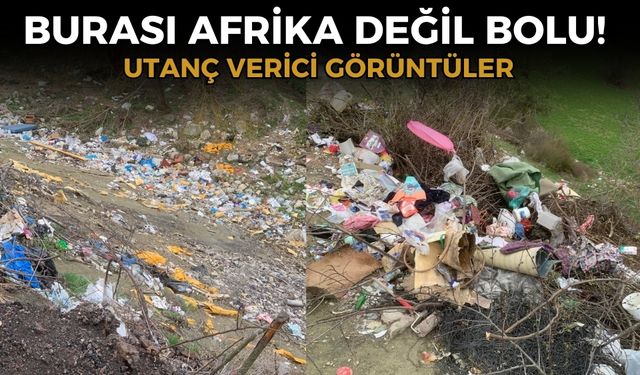 Utanç veren görüntü: Çöp dağı oluştu