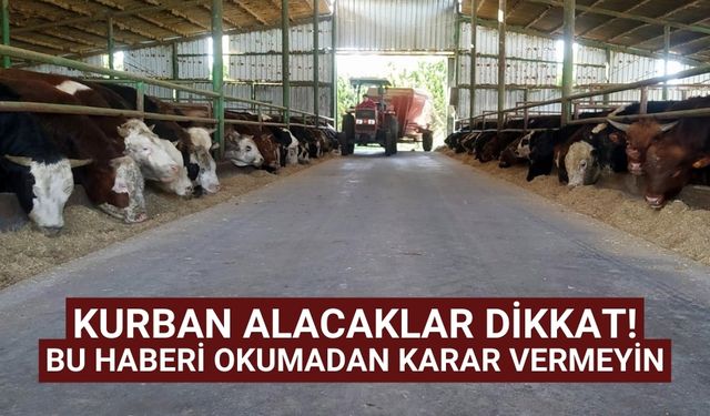 Kurban alacaklar dikkat! bu haberi okumadan karar vermeyin
