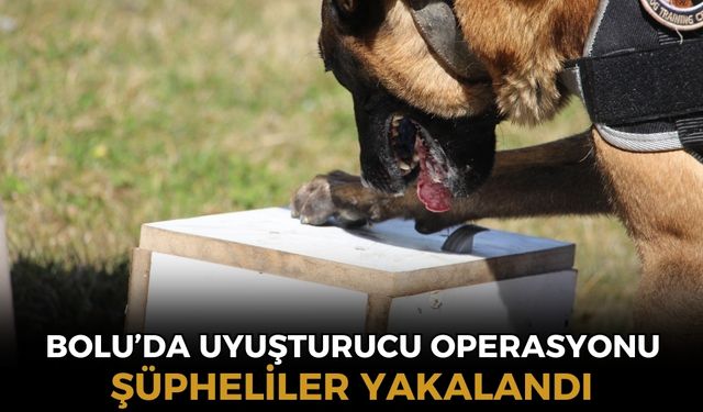 Bolu'da 7 farklı uyuşturucu operasyonu: 8 gözaltı