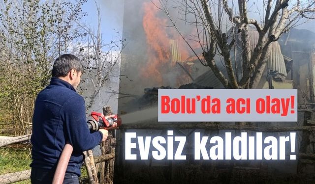 Sobadan çıkan yangın, evi kül etti