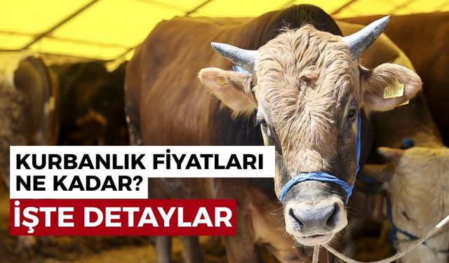 Kurbanlık fiyatları açıklandı