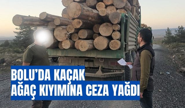 Bolu’da kaçak ağaç kıyımına ceza yağdı