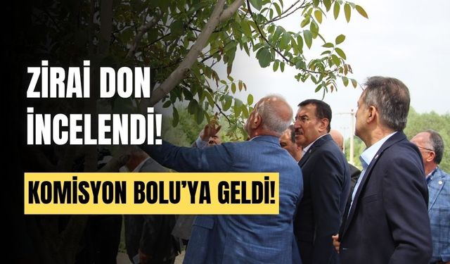 Zirai Don Araştırma Komisyonu, Bolu’da inceleme yaptı
