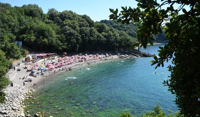 Düzce'de sıcak hava nedeniyle sahillerde yoğunluk yaşandı