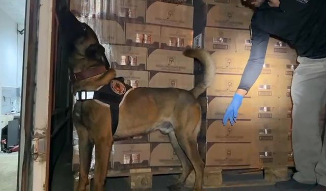 Osmangazi Köprüsü girişinde 9 kilo kokain maddesi ele geçirildi