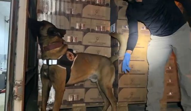 TEM’de durdurulan araçtan 9 kilo kokain ele geçirildi