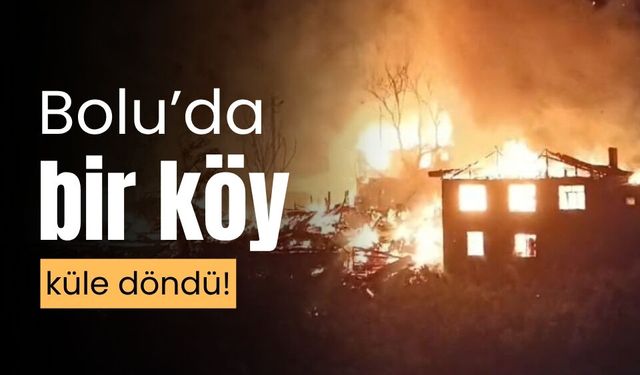Bolu’da yangın çıkan köy, küle döndü; 12 yapı yandı
