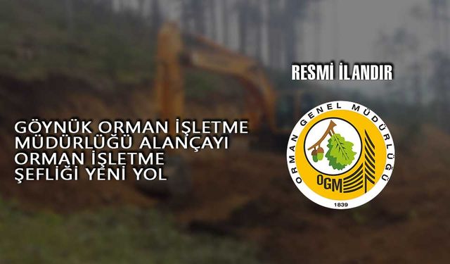 GÖYNÜK ORMAN İŞLETME MÜDÜRLÜĞÜ ALANÇAYI ORMAN İŞLETME ŞEFLİĞİ YENİ YOL