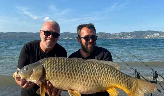 Sapanca Gölü’nde 18 kiloluk dev sazan: O anlar kamerada