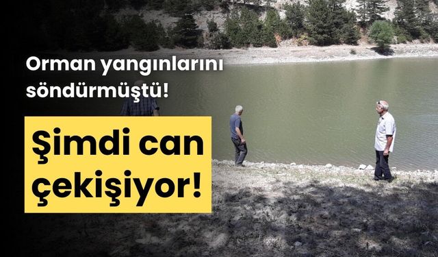 Orman yangınında kritik rol oynayan gölet, can çekişiyor