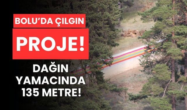 Bolu'da çılgın proje! 135 metre uzunluğunda, dağ yamacına inşa ediliyor!