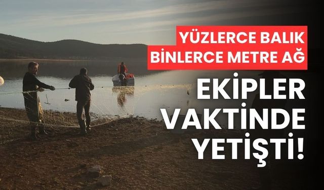 Bolu’da, hayalet ağa takılan 500 balık canlı olarak kurtarıldı