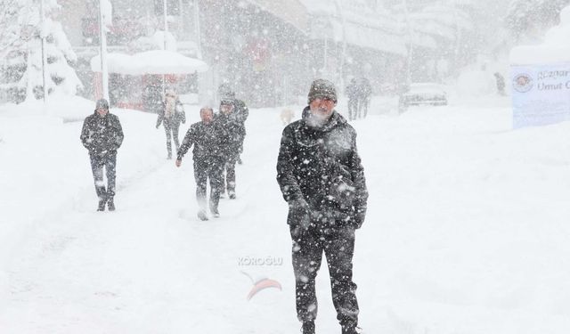 Türkiye sıcaktan kavrulurken, Bolu 1 dereceyi gördü!