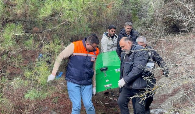 Sır ölüm; cansız bedeni ormanda bulundu