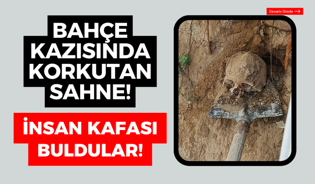 Bahçe kazısında, insan kafatası buldular!