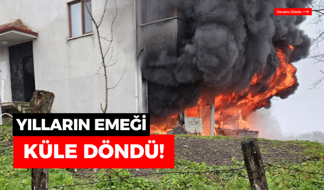 Yılların emeği, dakikalar için küle döndü!