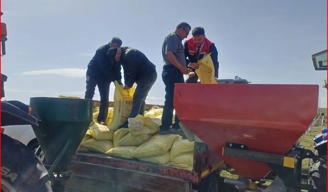 Bolu’da meralara gübre atılıyor