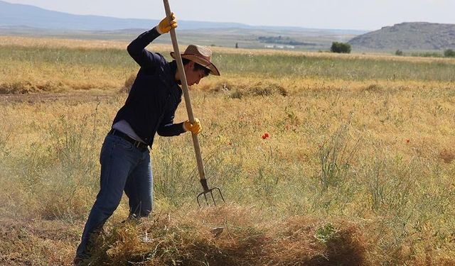 Bolu’da üreticiye 164,6 milyon TL destek sağlandı