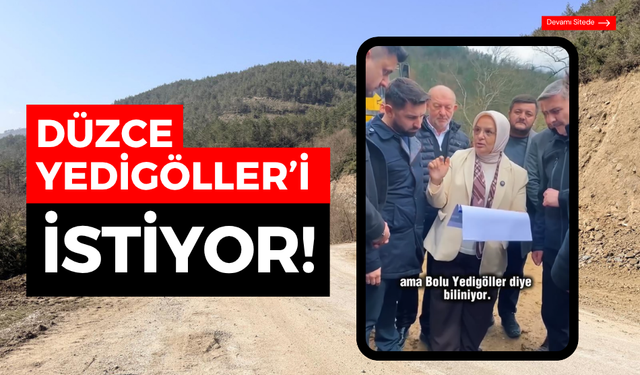 Düzce, Yedigöller'i istiyor; "Yol 90 kilometre kısalıcak"