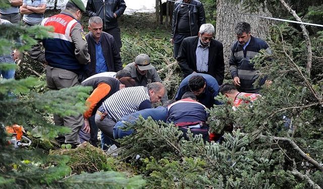 Kestiği ağacın altında kalan adam ağır yaralandı