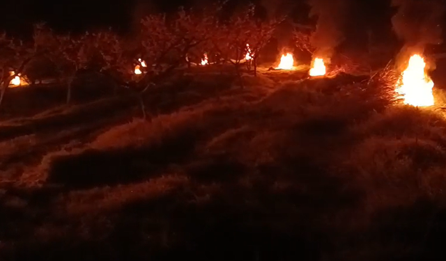 Bolu’da meyve üreticileri, sabaha kadar don nöbeti tuttu