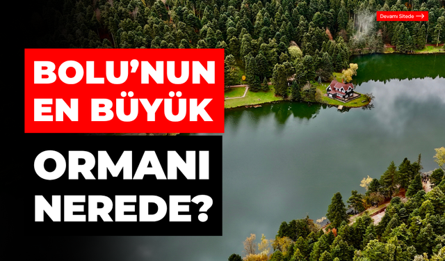 Bolu'nun en büyük ormanı nerede?