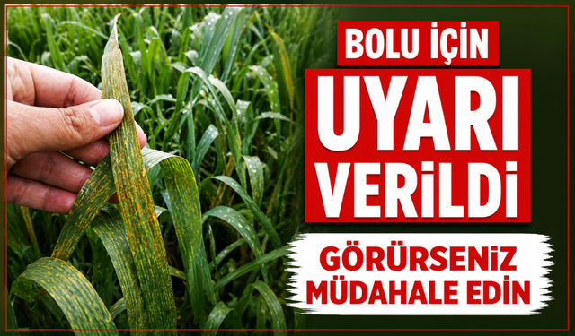 Bolu’da, sarı pas hastalığına karşı uyarı yapıldı