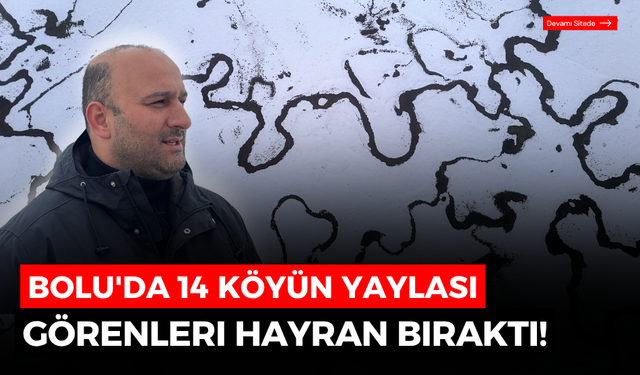 Bolu'da 14 köyün yaylasında mendereslerin görüntüsü mest etti