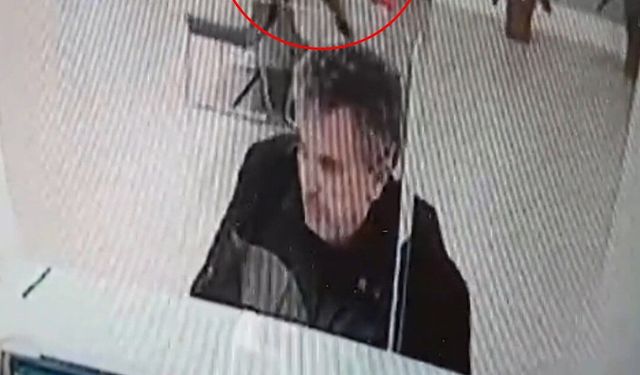 Bankada işlem yaparken üzerine kedi düştü