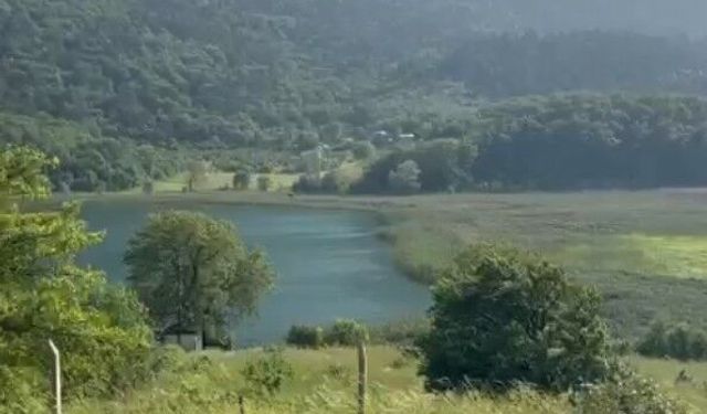 Bolu’da endişelendiren görüntü! Göl çekildi, sazlıklar oluştu