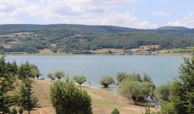 Bolu'da mangal yakmak serbest mi?