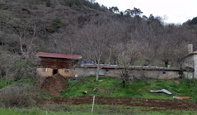 Bolu'daki gizemli kazıda ne bulundu? İlk kez net konuştular