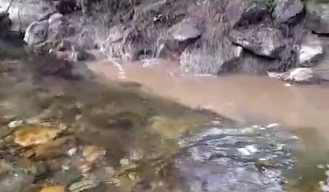 Diken üstündeyiz, kanalizasyon suları dereye karışıyor