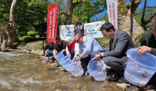 Bolu’da üretilen balıklar, Düzce’de suya salındı