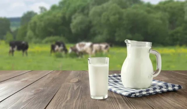 Ne inek ne manda! Bağırsak sağlığı için en iyi süt açıklandı...