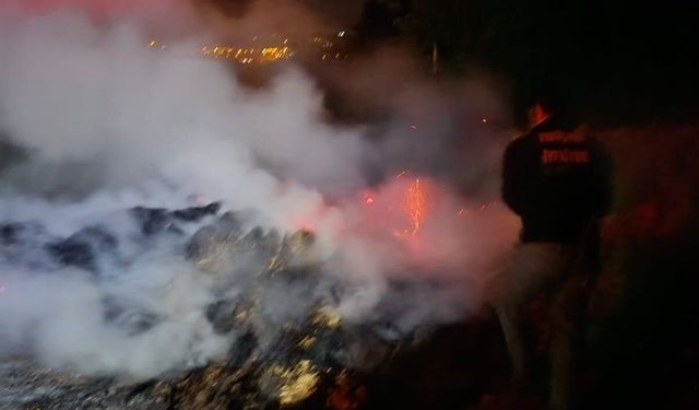 Korkutan yangın: Ormana sıçramadan söndürüldü