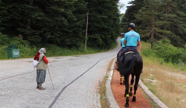 Bolu'da atlı jandarma timleri görev başında