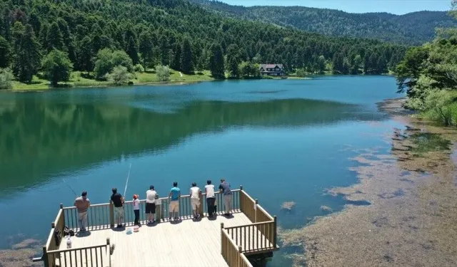Bolu, Türkiye'nin en yeşil 4'üncü ili oldu