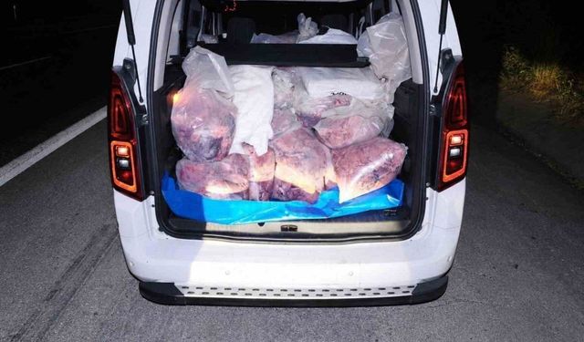 Mide bulandıran görüntü yüzlerce kilo yakalandı