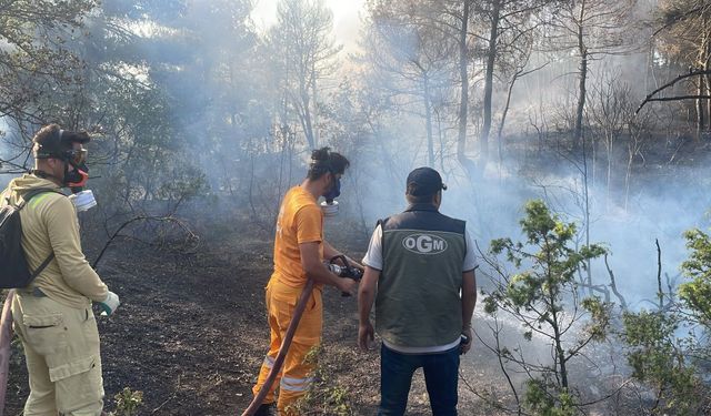 Bolu’da ormanlık alanda çıkan yangın kontrol altına alındı