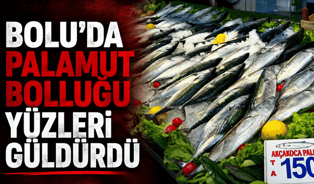 Balıkçıların yüzünü palamut bolluğu güldürdü