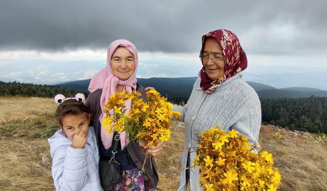 Bin 850 rakımlı zirvede şifa mesaisi