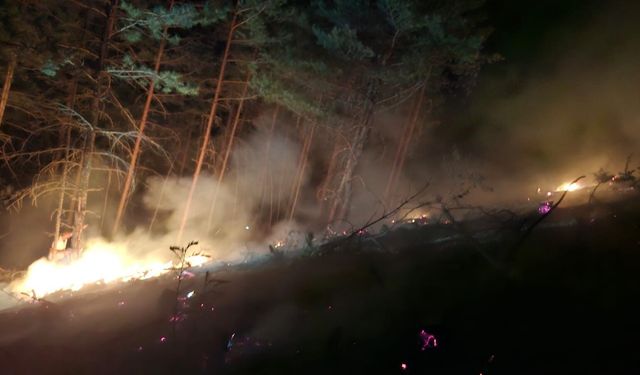 Bolu'da orman yangını paniği: Köylülerin hızlı müdahalesi faciayı önledi