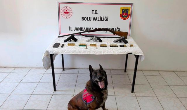 Bolu’da silah ve mühimmat operasyonu: 1 tutuklama