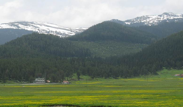 Bolu’da köy ve yaylalarda kaçak yapılar yıkılıyor!